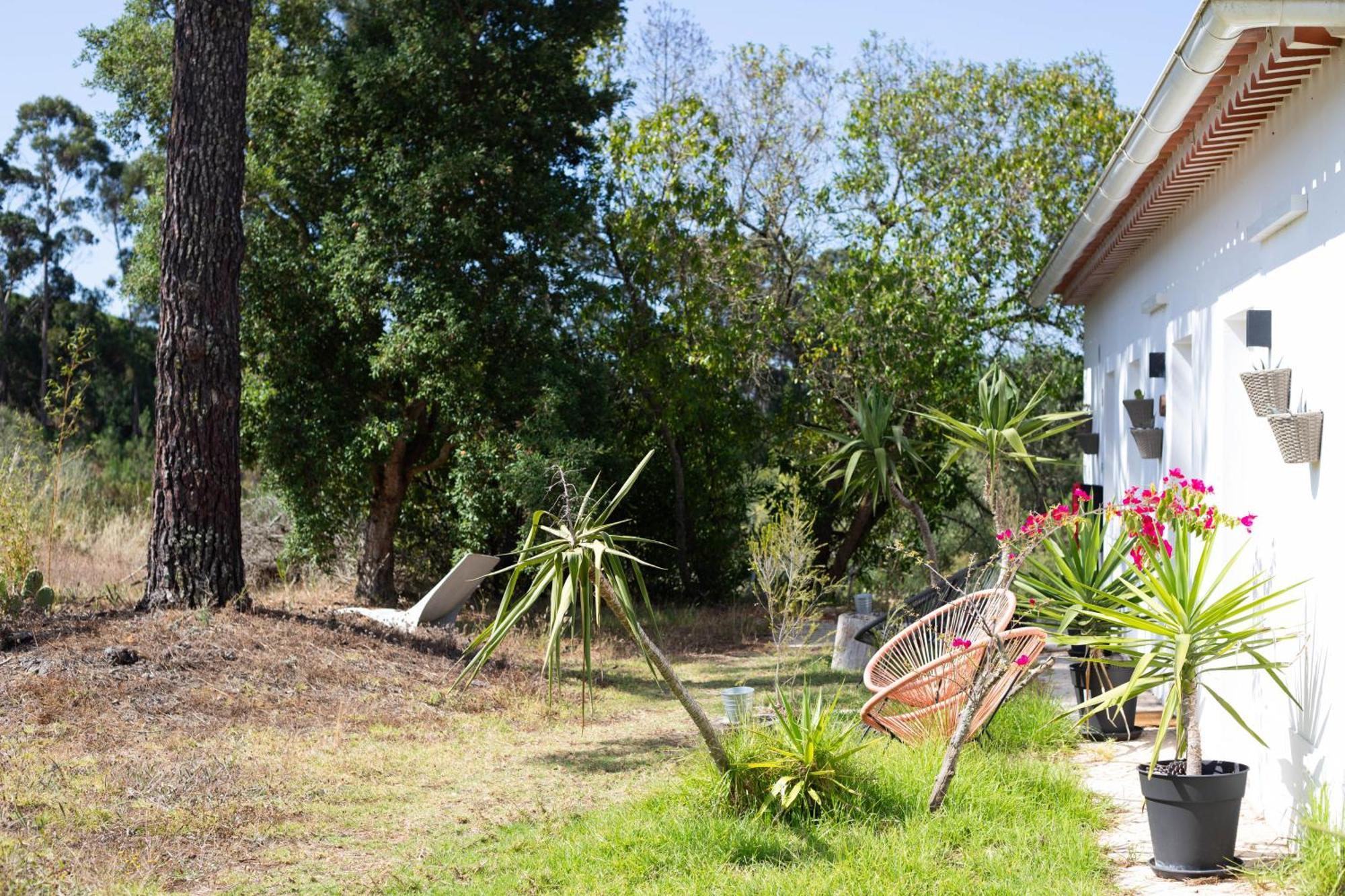Monte Da Urze Aljezur - Agroturismo Exterior photo